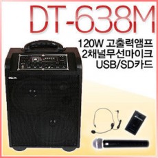 DT-638M (무선2채널)