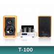 T-100 (진공관앰프)