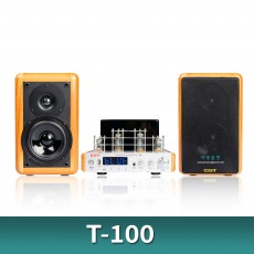 T-100 (진공관앰프)